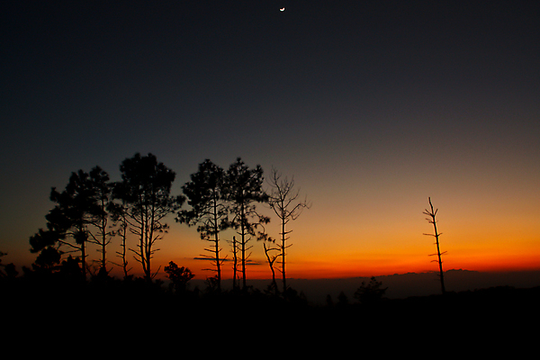 포토 JPG 해외이미지 나무 구름 1 계절 실루엣 별 백그라운드 겨울 태국 자연 하늘 추상 휴식 새로움 산 풍경 사람없음 여름 파란색 태양 평화 일출 맑음 침묵 황혼 일몰 새벽 달 시골 황금 야간 초승달 가득함 심볼 내추럴 옛날 수평선 해외202004 해외포토 자연요소 식물 아시아 컬러 컨셉 무늬 날씨 촬영기법 노을 소리 생태계 파일형식 이미지허브