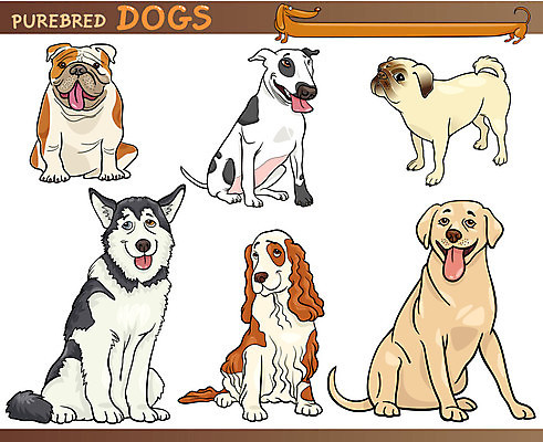 EPS 해외이미지 클립아트 동물 캐릭터 행복 일러스트 포유류 미소 그래픽 반려동물 세트 갈색 스패니얼 흰색 점 그룹 유머 개 리트리버 강아지 만화 테리어 래브라도리트리버 그림 꼬리 코믹 불독 솜털 알래스카 송곳니 기르기 마스코트 시베리아 유래 캐리커처 해외202004 해외일러스트 일러캐릭터 감정 컬러 표정 미국 치아 돌봄 파일형식 벡터 이미지허브