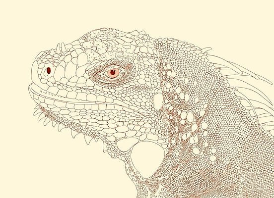 EPS 해외이미지 동물 디자인 얼굴 야생동물 일러스트 파충류 자연 생물 잉크 동물원 저울 그래픽 머리 용 거친 스케치 피부 그림 질감 도마뱀 윤곽 이구아나 동물상 엘리먼트 카피스페이스 해외202004 해외일러스트 미술 신체부위 조형물 공백 생태계 파일형식 벡터 문화예술 사람 이미지허브