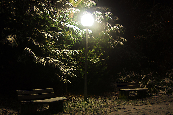 포토 JPG 해외이미지 나무 계절 공원 백그라운드 겨울 벤치 자연 풍경 사람없음 야외 목재 파란색 빛 평화 냉동 얼음 어둠 추위 등불 램프 눈송이 야간 숲 시원함 싱글 서리 장면 내추럴 폭설 눈내림 해외202004 해외포토 자연요소 식물 공공시설 컬러 컨셉 의자 재료 조명 눈_날씨 자연재해 생태계 파일형식 이미지허브