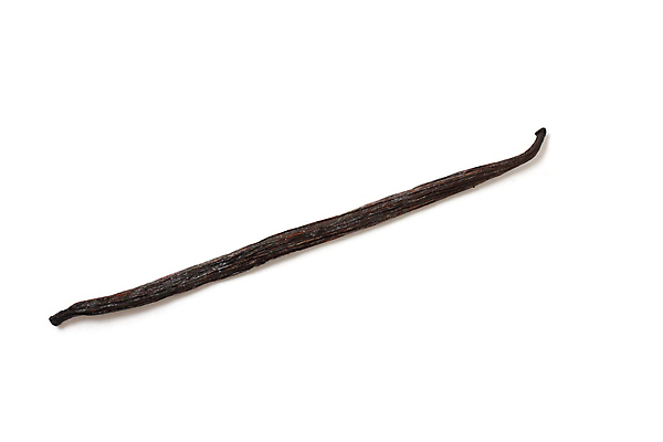 포토 JPG 해외이미지 나무 꽃 음식 백그라운드 채소 자연 디저트 콩 사탕 3 요리 씨앗 사람없음 약 갈색 머리 케이크 주방 검은색 어둠 침묵 벚꽃 흰색 막대기 난초 달콤 맛 설탕 굽기 먹기 가득함 향신료 오브젝트 싱글 유기농 아로마 슛 향 내추럴 고립 꼬투리 바닐라 해외202004 해외포토 식물 웰빙 컬러 컨셉 의학 모션 곡류 신체부위 소리 구이 생태계 향미료 파일형식 이미지허브