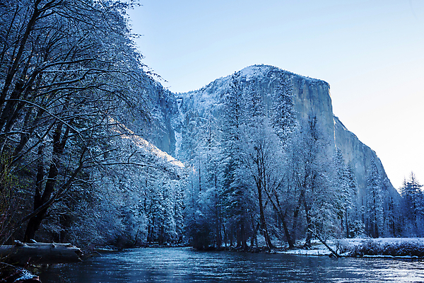 포토 JPG 해외이미지 나무 공원 여행 겨울 자연 산 국립공원 풍경 사람없음 야외 목재 물 여름 강 햇빛 태양 환경 맑음 놀람 봄 활발 폭포 캠핑 추위 보호 숲 캘리포니아 내추럴 방법 생태학 요세미티국립공원 해외202004 해외포토 자연요소 식물 계절 공공시설 교육 감정 컨셉 재료 레저 날씨 표정 미국 생태계 파일형식 이미지허브