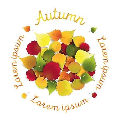 EPS 해외이미지 식물 디자인 배너 계절 포스터 꽃다발 백그라운드 컨셉 단풍 잎 캐나다 꽃무늬 일러스트 자연 벽지 추상 프레임 미술 야외 빨간색 컬러풀 갈색 노란색 환경 정원 가을 흰색 신용카드 황금 정상 숲 9월 다발 자연백그라운드 10월 내추럴 엘리먼트 해외202004 해외일러스트 꽃 컬러 북아메리카 무늬 문화예술 금융 날짜 생태계 파일형식 벡터 이미지허브