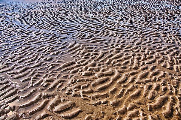 포토 JPG 해외이미지 디자인 종이 모래 벽 파도 바다 조각 백그라운드 패턴 곡선 건축양식 자연 벽지 바람 추상 해변 사람없음 장식 물 빛 사막 흐름 낟알 모래언덕 질감 웨이브 시멘트 시들음 내추럴 굴곡 생태학 콘크리트 해외202004 해외포토 자연요소 교육 건축 선 컨셉 무늬 날씨 언덕 생태계 파일형식 이미지허브