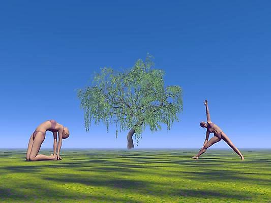 포토 JPG 해외이미지 라이프스타일 여자 행복 실루엣 선 스포츠 포즈 신체 요가 자연 하늘 아침 휴식 스트레스 건강 연꽃 풍경 사람없음 야외 청춘 운동 태양 반사 평화 건강관리 일출 화목 침묵 고요 일몰 광선 마음 영혼 고독 연습 명상 위치 내추럴 해외202004 해외포토 주간 자연요소 웰빙 꽃 감정 컨셉 촬영기법 관리 사람 생활 노을 소리 생태계 파일형식 이미지허브