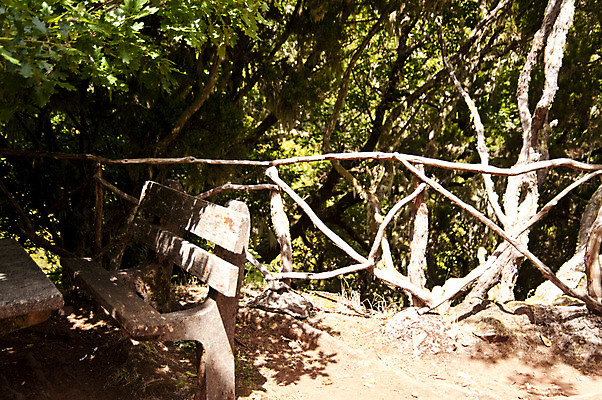 포토 JPG 해외이미지 나무 식물 섬 여행 자연 산 그림자 풍경 사람없음 야외 목재 초록색 빛 햇빛 걷기 와인 맑음 산책 하이킹 포르투갈 언덕 운하 산악지대 해외202004 해외포토 유럽 컬러 재료 모션 레저 날씨 휴식 주류 태양 생태계 파일형식 이미지허브