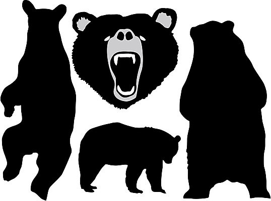 EPS 해외이미지 동물 디자인 실루엣 야생동물 일러스트 곰 자연 동물원 고립 해외202004 해외일러스트 포유류 촬영기법 생태계 파일형식 벡터 이미지허브