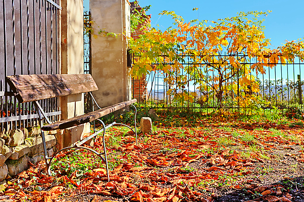 포토 JPG 해외이미지 계절 공원 유럽 여행 단풍 잎 벤치 오렌지 자연 휴가 풍경 사람없음 야외 목재 빨간색 울타리 컬러풀 갈색 노란색 환경 침묵 이탈리아 가을 시골 황금 11월 장면 산기슭 10월 내추럴 피에몬테 해외202004 해외포토 나무 식물 공공시설 나라 컬러 의자 과일 재료 산 담장 소리 날짜 생태계 파일형식 이미지허브