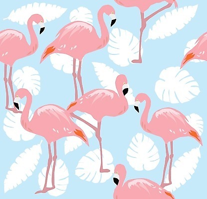 EPS 해외이미지 동물 응시 야생동물 분홍색 포즈 백그라운드 일러스트 아프리카 자연 조류 생물 멕시코 빨간색 빛 강 장미 머리 걷기 산책 활발 흰색 큼 플라밍고 깃털 부리 목 내추럴 동물상 생존 해외202004 해외일러스트 시선 꽃 나라 컬러 컨셉 북아메리카 모션 휴식 신체부위 조형물 크기 생태계 파일형식 벡터 이미지허브