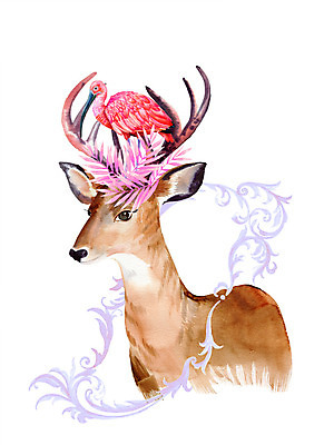 포토 JPG 해외이미지 동물 조류 사슴 수채화 프레임 뿔 사람없음 머리 진홍색 가젤 순록 해외202004 해외포토 포유류 신체부위 빨간색 파일형식 이미지허브