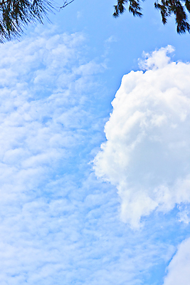 포토 JPG 해외이미지 구름 계절 하늘색 백그라운드 겨울 자연 벽지 하늘 날씨 풍경 사람없음 야외 여름 파란색 빛 햇빛 우주 환경 맑음 가을 흰색 분위기 수분 천국 솜털 흐림 해외202004 해외포토 자연요소 컬러 컨셉 태양 생태계 파일형식 이미지허브