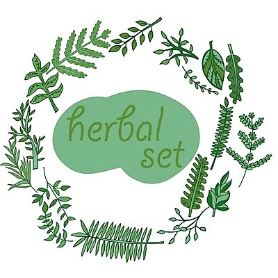 EPS 해외이미지 식물 손 디자인 음식 잎 일러스트 재료 미술 초록색 세트 흰색 나뭇가지 신선 스케치 수집 허브 향신료 그림 유기농 아로마 로즈메리 내추럴 고립 백리향 엘리먼트 해외202004 해외일러스트 나무 웰빙 컬러 문화예술 신체부위 향미료 파일형식 벡터 이미지허브