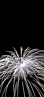 포토 JPG 해외이미지 별 꽃다발 백그라운드 하늘 불 휴가 불꽃 안테나 이벤트 사람없음 빛 컬러풀 축제 로켓 껍질 축하 야간 폭발 연도 경례 파열 7월 해고 독립 로마인 해외202004 해외포토 자연요소 꽃 컬러 컨셉 비즈니스 통신 인종 인사 날짜 파일형식 이미지허브