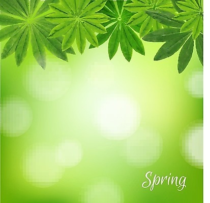 EPS 해외이미지 나무 식물 구름 디자인 백그라운드 컨셉 잎 패턴 일러스트 자연 부활절 프레임 미술 풍경 야외 초록색 여름 햇빛 태양 환경 봄 활발 젖음 나뭇가지 보호 소프트포커스 숲 청소 에코 클립 문학 자작나무 엘리먼트 효과 해외202004 해외일러스트 자연요소 계절 기념일 컬러 무늬 문화예술 촬영기법 생태계 파일형식 벡터 이미지허브