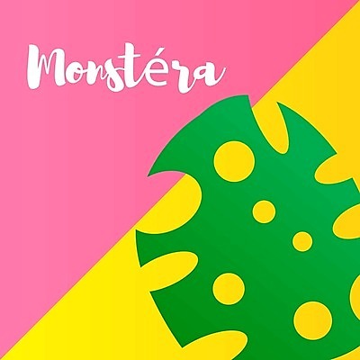 EPS 해외이미지 나무 식물 디자인 분홍색 백그라운드 잎 꽃무늬 일러스트 부분 자연 추상 손바닥 장식 초록색 여름 노란색 유행 정원 어둠 봄 성장 흰색 신선 숲 인쇄 큼 열대우림 허브 오브젝트 하와이 내추럴 고립 떠남 이국적 특별함 알로하 그리너리 해외202004 해외일러스트 손 계절 꽃 컬러 컨셉 무늬 모션 미국 인사 크기 생태계 파일형식 벡터 트랜드컬러 북아메리카 신체부위 예절 아메리카 사람 대륙 이미지허브