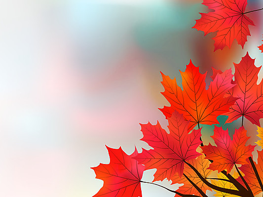 EPS 해외이미지 나무 공원 선 여행 단풍 잎 오렌지 일러스트 자연 휴가 휴식 동양인 목재 빨간색 초록색 물 컬러풀 평화 정원 일본 침묵 가을 연못 명상 태평양 방문 시애틀 워싱턴 해외202004 해외일러스트 자연요소 식물 계절 공공시설 아시아 바다 컬러 컨셉 과일 재료 인종 미국 소리 생태계 파일형식 벡터 이미지허브