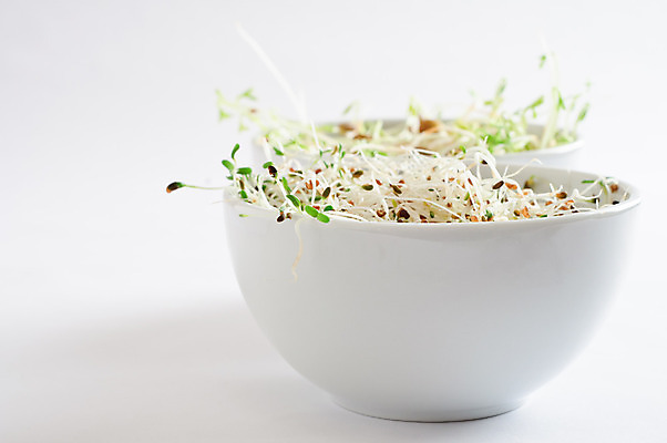 포토 JPG 해외이미지 음식 2 재료 콩 건강 사람없음 초록색 새싹 중국 샐러드 흰색 신선 사발 날것 채식주의자 카피스페이스 비건 해외202004 해외포토 식물 아시아 컬러 곡류 공백 사기그릇 채식 파일형식 이미지허브