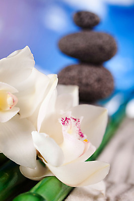 포토 JPG 해외이미지 전통 선 모래 백그라운드 컨셉 생각 추상 휴식 미술 사람없음 쌓기 정원 일본 화목 침묵 마음 원형 그룹 영혼 배열 집중 명상 오브젝트 심플 장면 내추럴 해외202004 해외포토 도형 아시아 무늬 모션 문화예술 소리 파일형식 이미지허브