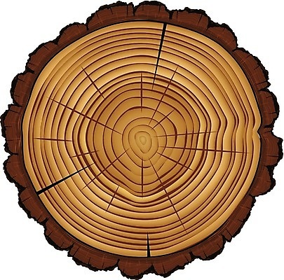 EPS 해외이미지 나무 식물 산업 조각 백그라운드 십자가 패턴 곡선 일러스트 부분 자연 건조 목재 갈색 성장 흰색 반지 소나무 원형 역사 플랫 정상 자르기 묘사 질감 통나무 나무껍질 잡동사니 다리찢기 내추럴 고립 넘어짐 방법 수목 옛날 노화 해외202004 해외일러스트 도형 선 컬러 컨셉 무늬 재료 장신구 모션 껍질 생태계 파일형식 벡터 이미지허브