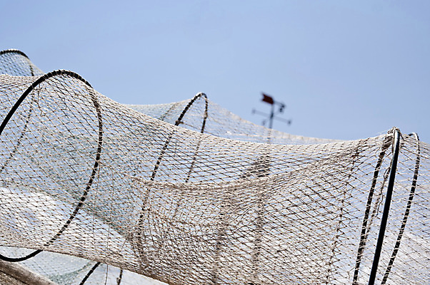 포토 JPG 해외이미지 호수 바다 낚시 어류 사람없음 그물 네트워크 발트해 해외202004 해외포토 레저 북유럽 수중동물 파일형식 이미지허브