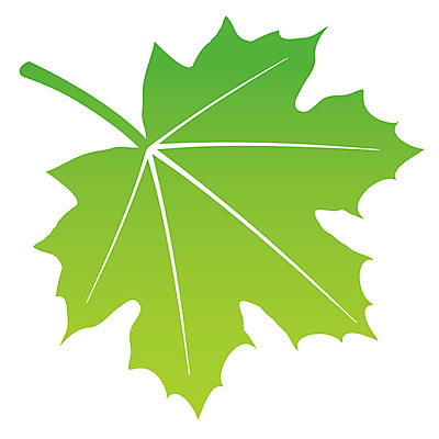 EPS 해외이미지 나무 식물 1 계절 줄기 백그라운드 단풍 잎 채소 일러스트 자연 프레임 초록색 여름 환경 봄 흰색 오브젝트 싱글 유기농 질감 정맥 고립 해외202004 해외일러스트 웰빙 컬러 생태계 혈관 파일형식 벡터 이미지허브