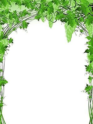 EPS 해외이미지 나무 식물 디자인 잎 꽃무늬 패턴 농업 곡선 과일 일러스트 포도 추상 프레임 미술 그래픽 장식 초록색 농장 환경 정원 소용돌이 나뭇가지 화려 그림 포도밭 포도나무 내추럴 카피스페이스 해외202004 해외일러스트 꽃 산업 선 컬러 컨셉 무늬 밭 문화예술 공백 회오리 과일나무 파일형식 벡터 이미지허브