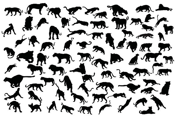 EPS 해외이미지 동물 실루엣 야생동물 일러스트 포유류 자연 털 머리 검은색 고양이 힘 흰색 호랑이 그룹 사자 큼 심볼 사파리 그림 사냥 윤곽 육식동물 표범 고립 동물상 집게발 해외202004 해외일러스트 컬러 촬영기법 신체부위 반려동물 조형물 크기 생태계 파일형식 벡터 이미지허브