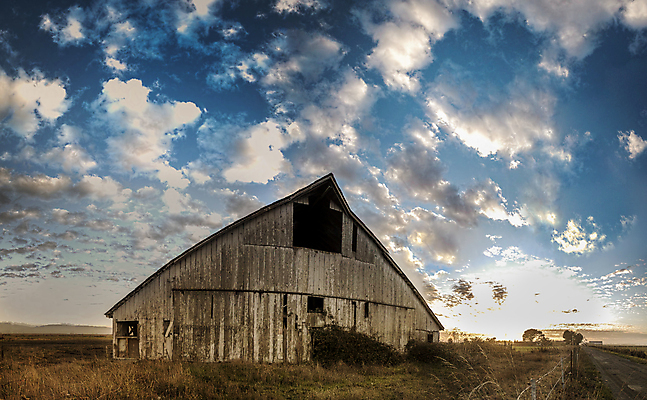 포토 JPG 해외이미지 구름 외관 벽 백그라운드 밭 농업 건축양식 자연 하늘 주택 풍경 사람없음 야외 내부 건물 목재 여름 빛 햇빛 태양 농가 농장 문 목장 방 수확 골동품 시골 땅 버리기 복고 캘리포니아 헛간 외양간 그런지 깨짐 밭일 썩음 옛날 판잣집 해외202004 해외포토 자연요소 나무 건축물 계절 건축 산업 컨셉 재료 모션 미국 생태계 저장고 파일형식 이미지허브