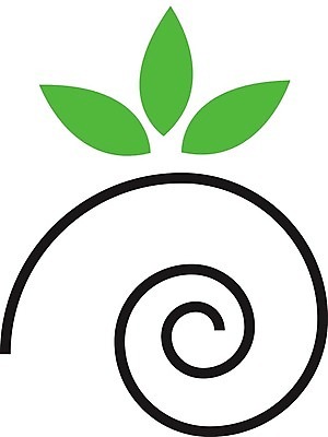 EPS 해외이미지 동물 디자인 음식 바다 잎 곡선 일러스트 비즈니스 자연 추상 조개 연체동물 나선형 갑각류 장식 초록색 환경 수중 성장 소용돌이 껍질 고리 우아함 소라 심볼 피부 오브젝트 유기농 달팽이 생물학 윤곽 화석 생태학 앵무조개 해외202004 해외일러스트 식물 웰빙 교육 선 컬러 컨셉 무늬 어패류 무척추동물 신체부위 회오리 생태계 파일형식 벡터 이미지허브