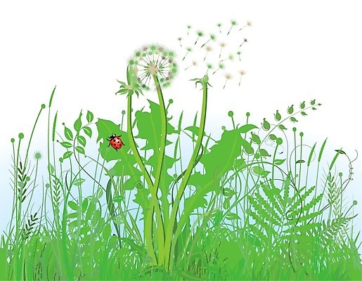 EPS 해외이미지 식물 꽃 백그라운드 잎 꽃무늬 패턴 밭 일러스트 자연 갈대 잔디 그래픽 초록색 여름 정원 봄 성장 민들레 허브 관목 원예 질감 무당벌레 내추럴 생태학 심기 원예사 해외202004 해외일러스트 나무 직업 계절 교육 컬러 곤충 무늬 농업 모션 취미 생태계 파일형식 벡터 이미지허브