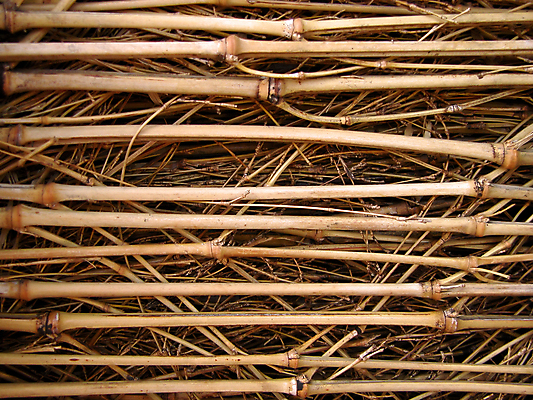 포토 JPG 해외이미지 백그라운드 사람없음 목재 갈색 나뭇가지 대나무 묘사 질감 스위치 해외202004 해외포토 나무 컬러 재료 파일형식 이미지허브