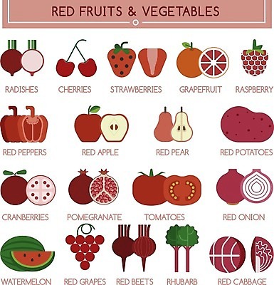 EPS 해외이미지 음식 채소 과일 일러스트 딸기 포도 양파 수박 감자 건강 빨간색 초록색 세트 인포그래픽 사과 양배추 후추 비트 총각무 크랜베리 해외202004 해외일러스트 열매 컬러 무 향신료 파일형식 벡터 이미지허브