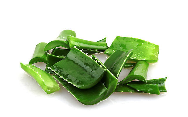 포토 JPG 해외이미지 식물 꽃 줄기 백그라운드 잎 자연 선인장 건강 사람없음 초록색 물 빛 우주 활발 사막 성장 흰색 떨어짐 허브 피부 묘사 피부관리 고립 돌봄 알로에 해외202004 해외포토 자연요소 컬러 컨셉 모션 신체부위 뷰티 생태계 파일형식 이미지허브