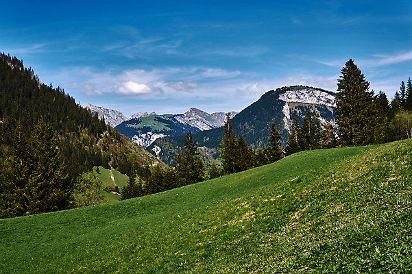 포토 JPG 해외이미지 나무 식물 구름 도로 자연 하늘 산 주택 풍경 사람없음 초록색 파란색 마을 계곡 봄 프랑스 흰색 숲 절정 해외202004 해외포토 자연요소 계절 유럽 길 컬러 교통시설 건물 생태계 파일형식 이미지허브