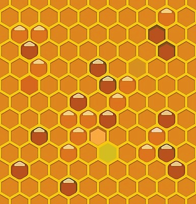 EPS 해외이미지 모양 디자인 백그라운드 패턴 오렌지 일러스트 자연 벽지 추상 세포 미술 여름 노란색 검은색 흰색 머리빗 달콤 벌 타일 질감 육각형 꿀 벌집 왁스 해외202004 해외일러스트 도형 계절 컬러 곤충 무늬 과일 문화예술 미용용품 맛 생태계 파일형식 벡터 이미지허브