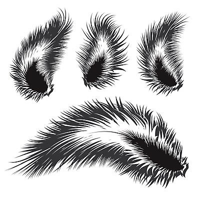 EPS 해외이미지 디자인 실루엣 백그라운드 패턴 일러스트 캘리그라피 모션 자연 조류 추상 미술 그래픽 장식 컴퓨터 세트 펜 검은색 소용돌이 흰색 화려 수집 심볼 순수 깃털 오브젝트 그림 클립 윤곽 솜털 고립 깃털펜 엘리먼트 해외202004 해외일러스트 동물 컬러 컨셉 무늬 문화예술 촬영기법 전자제품 필기구 회오리 생태계 파일형식 벡터 이미지허브