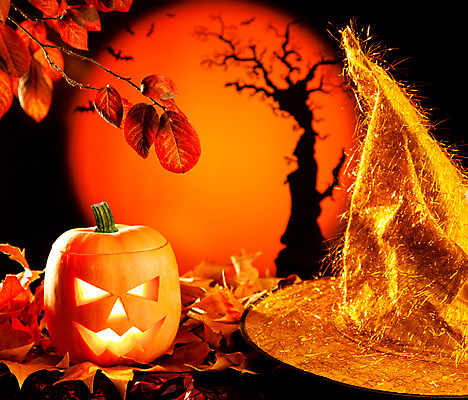 JPG 해외이미지 단풍 낙엽 호박 사람없음 할로윈 오브젝트 마녀모자 잭오랜턴 해외202004 해외포토 포토 모자_잡화 잎 채소 파일형식 이미지허브