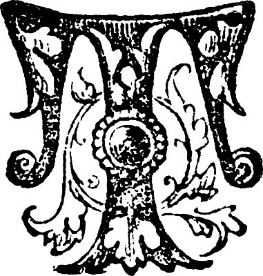 EPS 해외이미지 선 꽃무늬 일러스트 미술 검은색 수확 흰색 편지 그림 판화 T 해외202004 해외일러스트 알파벳 꽃 컬러 무늬 농업 문화예술 파일형식 벡터 이미지허브