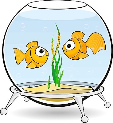 EPS 해외이미지 동물 커플 응시 여자 남자 오렌지 일러스트 자연 유리 바닥 사랑 어류 미술 미소 장식 물 파란색 반려동물 수중 거품 액체 사발 해조류 황금 둥지 만화 어항 그림 금붕어 지느러미 감시 수족관 리빙 동물상 캐비아 해외202004 해외일러스트 자연요소 시선 감정 컬러 과일 식재료 관계 재질 문화예술 표정 사람 조형물 수중동물 사기그릇 해양식물 생태계 파일형식 벡터 이미지허브