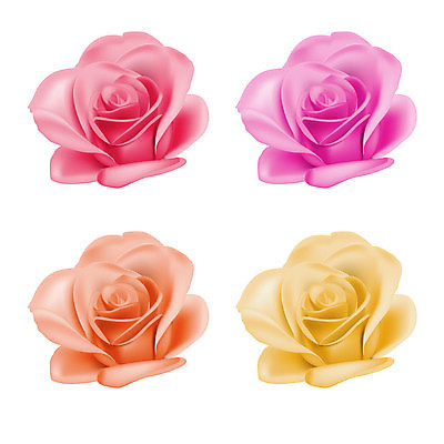 EPS 해외이미지 식물 디자인 기념일 꽃잎 꽃 실루엣 분홍색 백그라운드 꽃무늬 패턴 일러스트 부분 자연 선물 사랑 미술 이벤트 장식 빨간색 장미 노란색 봄 벚꽃 흰색 축하 신선 그룹 우아함 오브젝트 그림 클립 고립 엘리먼트 해외202004 해외일러스트 계절 감정 컬러 컨셉 무늬 문화예술 촬영기법 생태계 파일형식 벡터 이미지허브