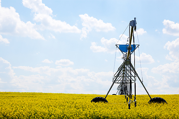 포토 JPG 해외이미지 구름 음식 밭 농업 하늘 사람없음 초록색 물 여름 파란색 농작물 농경지 노란색 금속 기계 수확 성장 공구 시골 바퀴 개화 유채 시스템 자원 펌프 밭일 스프링쿨러 압력 자동 카놀라 해외202004 해외포토 자연요소 계절 꽃 산업 컬러 재질 농장 도구 파일형식 이미지허브