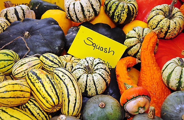 포토 JPG 해외이미지 음식 농업 채소 오렌지 호박 사람없음 컬러풀 농장 노란색 정원 수확 시장 스쿼시 해외202004 해외포토 산업 스포츠 컬러 과일 구기 파일형식 이미지허브