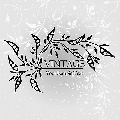 EPS 해외이미지 식물 꽃 백그라운드 잎 꽃무늬 곡선 일러스트 프레임 사람없음 해외202004 해외일러스트 선 무늬 파일형식 벡터 이미지허브