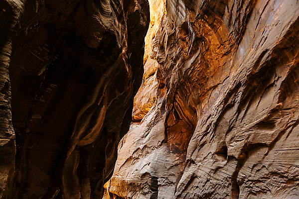 포토 JPG 해외이미지 공원 벽 여행 북아메리카 자연 숙이기 풍경 사람없음 야외 물 강 환경 계곡 미국 산책 땅 부식 좁은 방문 목각 깊이 서쪽 시온산 전국 세련 해외202004 해외포토 자연요소 공공시설 포즈 휴식 아메리카 방향 생태계 파일형식 이미지허브
