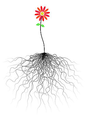 EPS 해외이미지 디자인 꽃잎 꽃 꽃무늬 일러스트 자연 그래픽 장식 빨간색 여름 컬러풀 벚꽃 네트워크 아래 생물학 뿌리 시스템 지하 내추럴 생태학 엘리먼트 지원 해외202004 해외일러스트 식물 계절 교육 컬러 무늬 방향 생태계 위치 파일형식 벡터 이미지허브