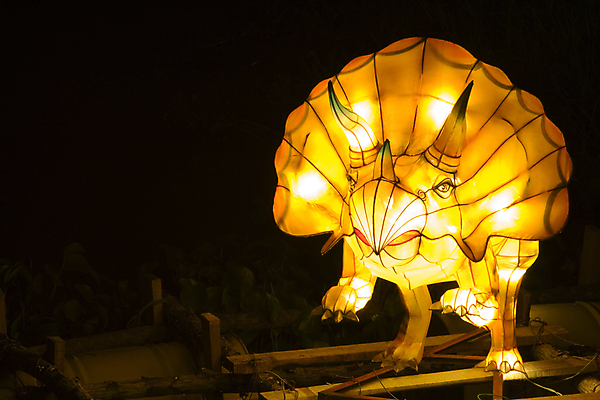 포토 JPG 해외이미지 동물 전구 파충류 조명 사람없음 빛 어둠 등불 램프 야간 공룡 고생물 멸종 선사시대 고립 몬스터 점화 쥬라기 해외202004 해외포토 자연요소 생물 역사 파일형식 이미지허브