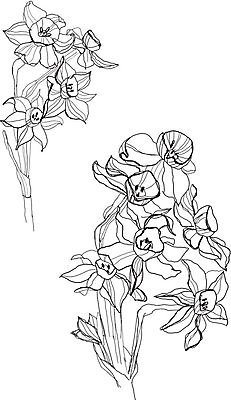 EPS 해외이미지 식물 계절 꽃 야생동물 백그라운드 꽃무늬 패턴 일러스트 자연 잉크 흑백 그래픽 장식 펜 정원 검은색 흰색 나뭇가지 인쇄 스케치 그림 생물학 판화 붓꽃 옛날 해외202004 해외일러스트 나무 동물 교육 컬러 무늬 촬영기법 미술 필기구 생태계 파일형식 벡터 이미지허브