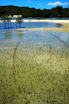 포토 JPG 해외이미지 나무 식물 구름 모래 파도 바다 섬 곡선 조류 하늘 사람없음 목재 초록색 물 파란색 농장 갈색 노란색 검은색 거품 바위 흰색 나뭇가지 해조류 언덕 석호 마다가스카르 해외202004 해외포토 자연요소 동물 선 컬러 농업 재료 돌_바위 해양식물 파일형식 이미지허브