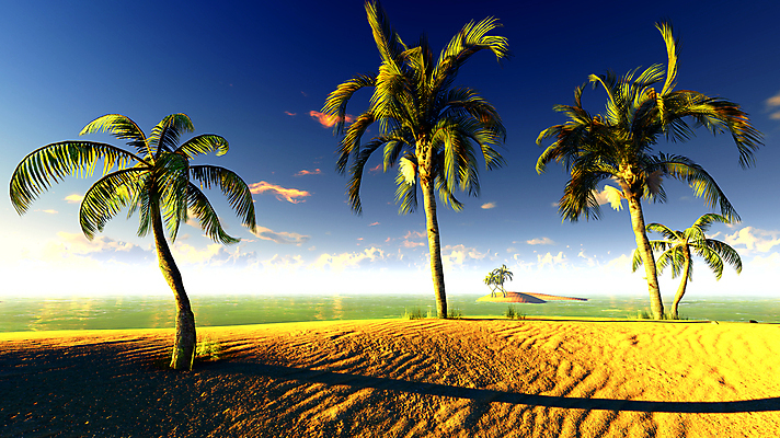 포토 JPG 해외이미지 나무 식물 구름 꽃 모래 바다 섬 여행 컨셉 잎 꽃무늬 패턴 자연 하늘 휴가 휴식 따뜻함 손바닥 풍경 사람없음 초록색 물 여름 파란색 태양 맑음 침묵 일몰 봄 하와이 태평양 코코넛 이국적 터키석 파라다이스 하와이인 해외202004 해외포토 자연요소 외국인 손 계절 컬러 무늬 과일 날씨 노을 미국 소리 보석 생태계 파일형식 이미지허브