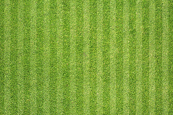 포토 JPG 해외이미지 식물 라이프스타일 공원 스포츠 백그라운드 잎 패턴 밭 골프 자연 벽지 놀이 추상 새로움 프레임 풍경 잔디 사람없음 야외 초록색 여름 환경 축구 봄 성장 신선 땅 허브 질감 내추럴 그리너리 해외202004 해외포토 계절 공공시설 컬러 컨셉 무늬 농업 생활 구기 생태계 파일형식 트랜드컬러 이미지허브